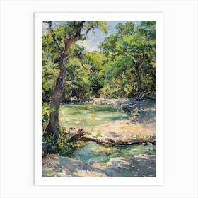 Hamilton Pool Preserve Austin Texas Oil Painting 2 Art Print