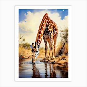 Giraffe Drinking Water Art Print