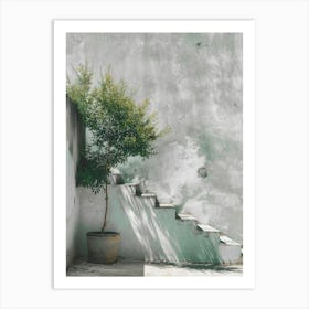 Tree On The Steps Art Print