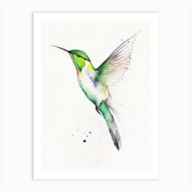 Booted Racket Tail Hummingbird Minimalist Watercolour Art Print