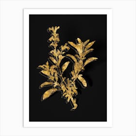 Vintage Garden Sage Botanical in Gold on Black n.0437 Art Print