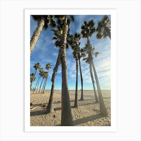 Palm Trees On The Beach Art Print