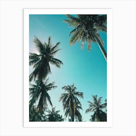 Palm Trees On The Beach Art Print