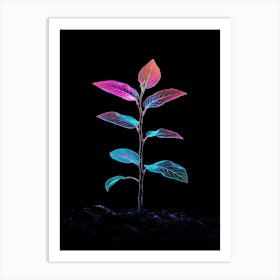 Plant On A Black Background 3 Art Print