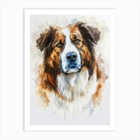 Australian Shepherd Dog Watercolor Painting 6 Art Print