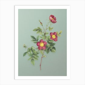 Vintage Alpine Rose Botanical Art on Mint Green n.0334 Art Print