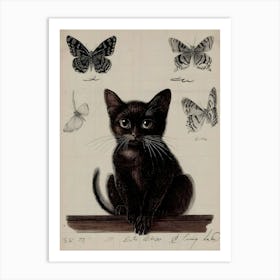 Black Cat With Butterflies Art Print