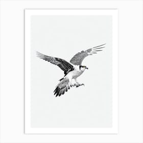 Osprey B&W Pencil Drawing 1 Bird Art Print
