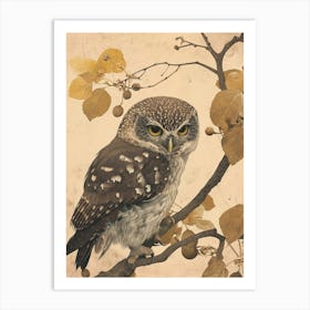 Northern Pygmy Owl Japanese Painting 2 Art Print