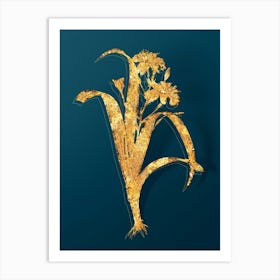 Vintage Iris Fimbriata Botanical in Gold on Teal Blue n.0054 Art Print