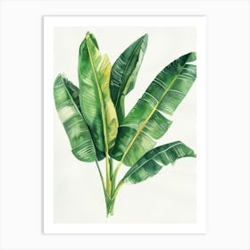 Banana Leaf Watercolor Painting Art Print