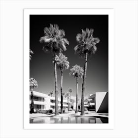 Palm Springs, Black And White Analogue Photograph 3 Art Print