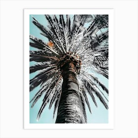 Palm Tree 9 Art Print