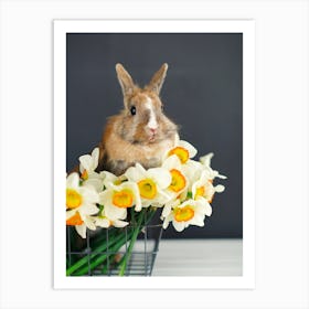 Bunny In A Basket Art Print