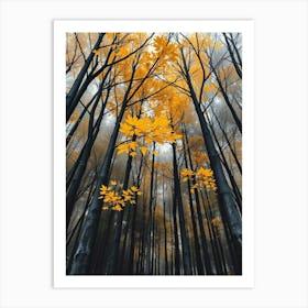 Autumn Forest 6 Art Print