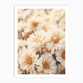 Boho Dried Flowers Cineraria 2 Art Print