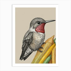 Hummingbird 37 Art Print