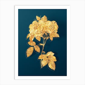 Vintage Italian Damask Rose Botanical in Gold on Teal Blue n.0168 Art Print