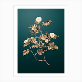 Gold Botanical Sweetbriar Rose on Dark Teal n.0785 Art Print