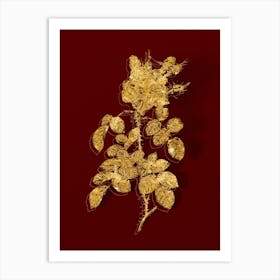 Vintage Four Seasons Rose in Bloom Botanical in Gold on Red n.0071 Art Print