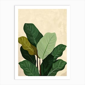 Calathea Plant Minimalist Illustration 4 Art Print