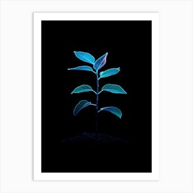 Plant In The Dark 23 Art Print