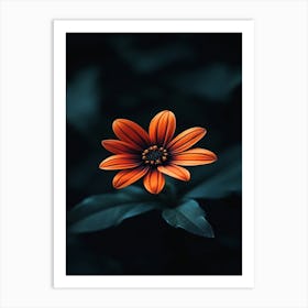 Orange Flower 18 Art Print