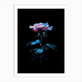 Rose In The Dark 6 Art Print