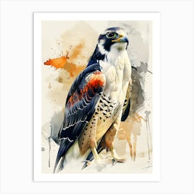 Falcon Art Print