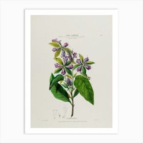 Lilac 2 Art Print