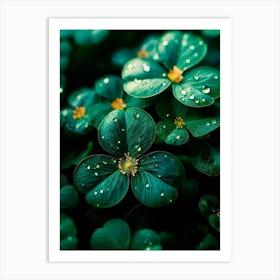 Shamrocks Art Print