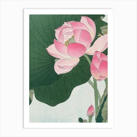 Lotus Flower 22 Art Print