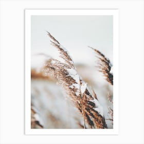 Snowy Wheat Field Art Print