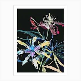 Neon Flowers On Black Love In A Mist Nigella 1 Art Print