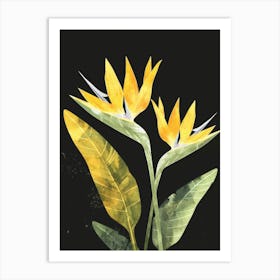 Bird Of Paradise 66 Art Print