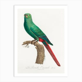 The Emerald Parakeet From Natural History Of Parrots, Francois Levaillant Art Print