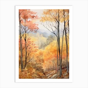 Autumn Forest Landscape The Shawnee National Forest 1 Art Print