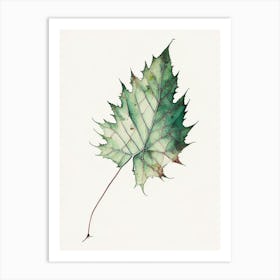 Virginia Creeper Leaf Minimalist Watercolour 1 Art Print