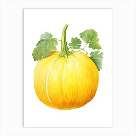Spaghetti Squash Pumpkin Watercolour Illustration 1 Art Print