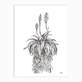 Black and White Aloe with Three Flowers Art Print