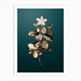 Gold Botanical Gardenia on Dark Teal n.4578 Art Print