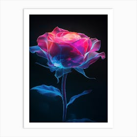 Pink Rose On Black Background Art Print