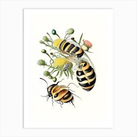 Larva Bees 2 Vintage Art Print