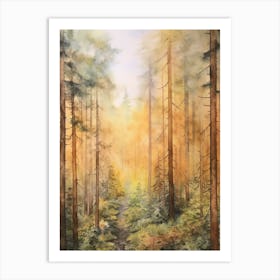 Autumn Forest Landscape Redwood National And State Park Art Print