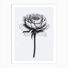 A Carnation In Black White Line Art Vertical Composition 39 Art Print