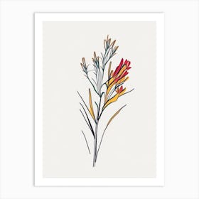 Kangaroo Paw Floral Minimal Line Drawing 1 Flower Art Print