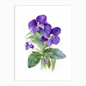 Violets Wildflower Watercolour 1 Art Print