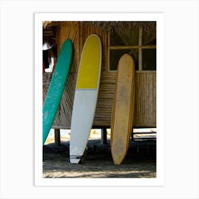 Surfboards On The Beach Art Print