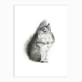 Squirrel Pencil Drawing Art Print