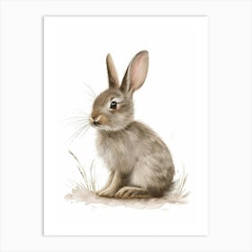 Britannia Petite Rabbit Nursery Illustration 1 Art Print